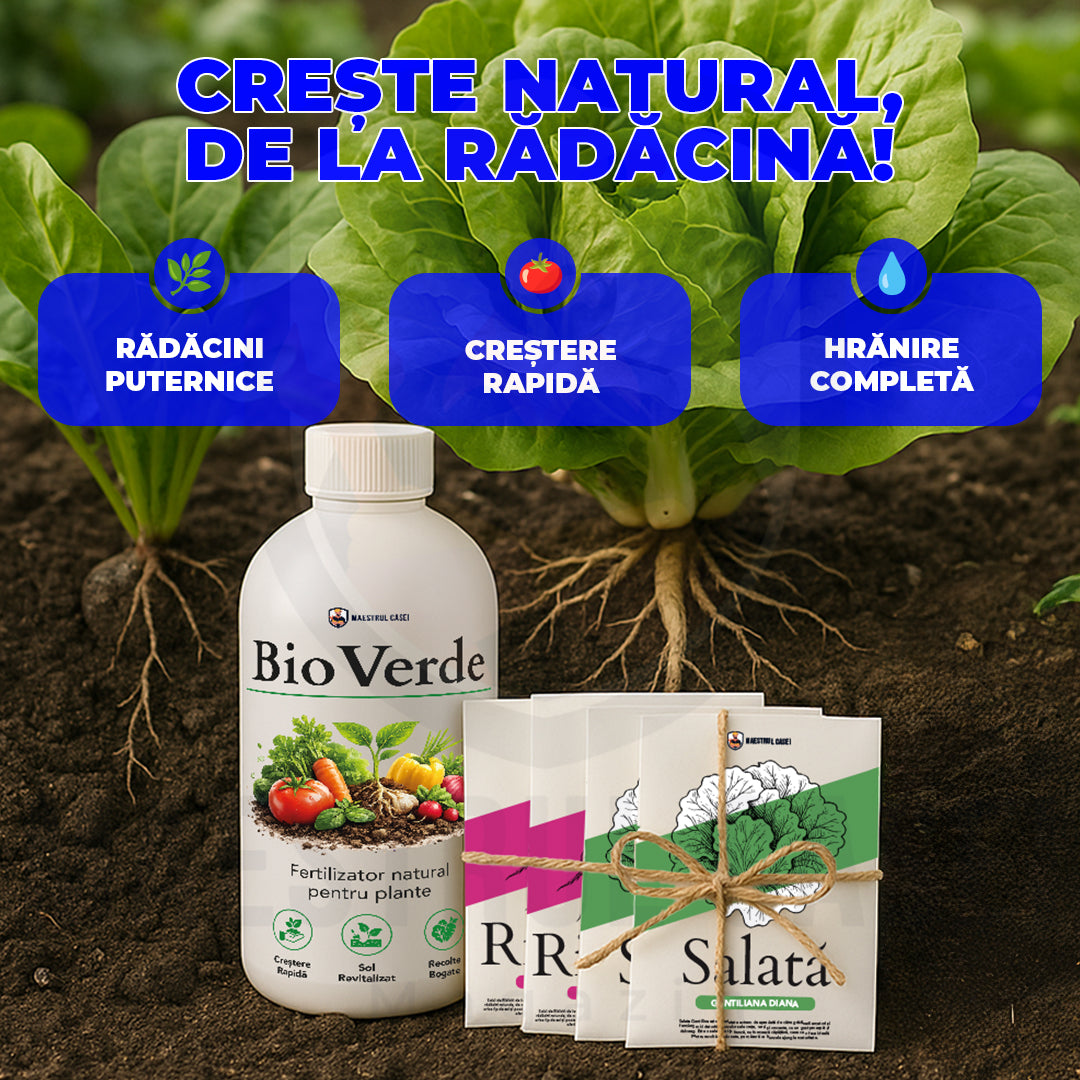 Pachetul - Plantare de iarnă – Maestrul Casei