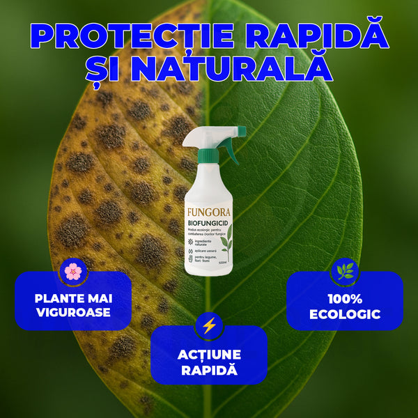 Fungora – Biofungicid Premium