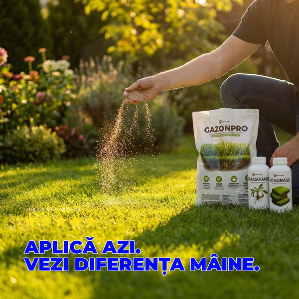 Pachetul Gazonului Perfect 🌱