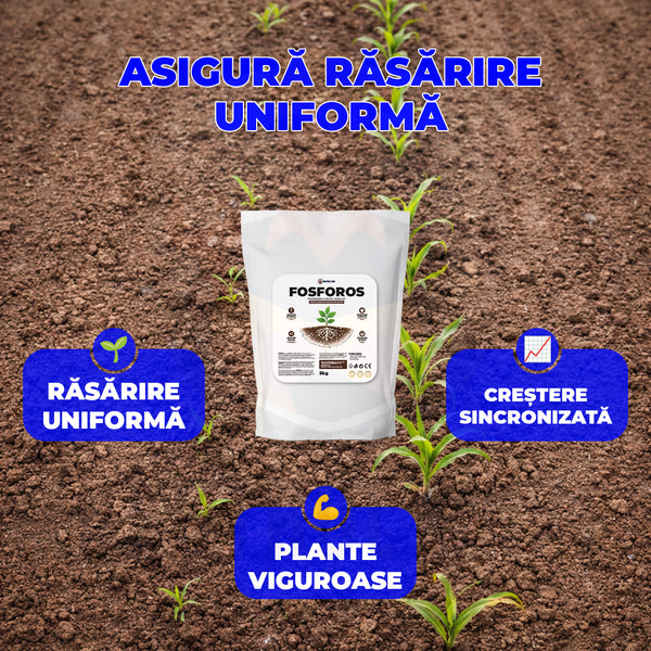 Fosforos – Îngrășământ fosforic granular  5 kg