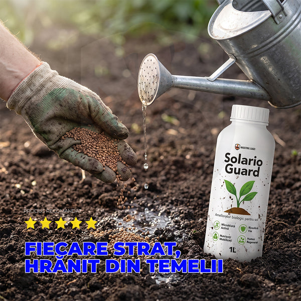 Pachet RestartSol 🌱