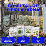 Pachetul Pomilor de Fier — protecție completă de iarnă pentru pomi