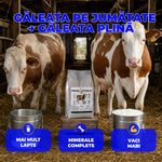 Premix LapteMult - Premix vitamino-mineral pentru vaci de lapte | 1kg