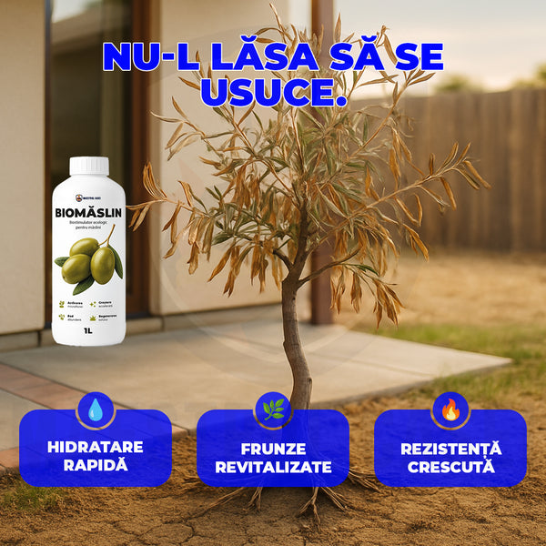 BioMăslin – Biostimulator Ecologic pentru Măslini  1L