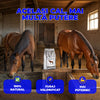 Premix CalForte - Premix vitamino-mineral pentru cai | 1kg