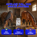 Premix CalForte - Premix vitamino-mineral pentru cai | 1kg