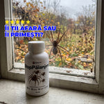 StopPăianjeni – Repelent BIO pentru Păianjeni | 100 ml