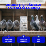 Premix PorumForte - Premix vitamino-mineral pentru porumbei | 1kg