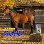 Premix CalForte - Premix vitamino-mineral pentru cai | 1kg