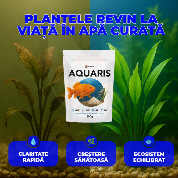AQUARIS - Curățare naturală pentru acvariul tău