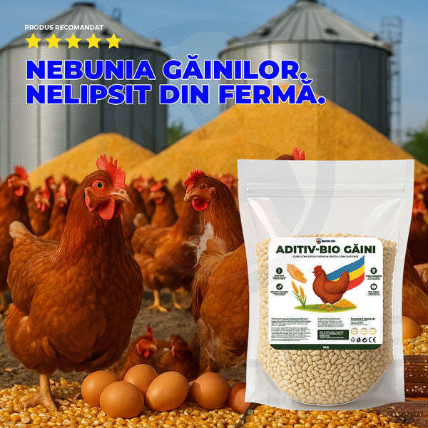 Ingrediente atent selecționate pentru ouă sănătoase