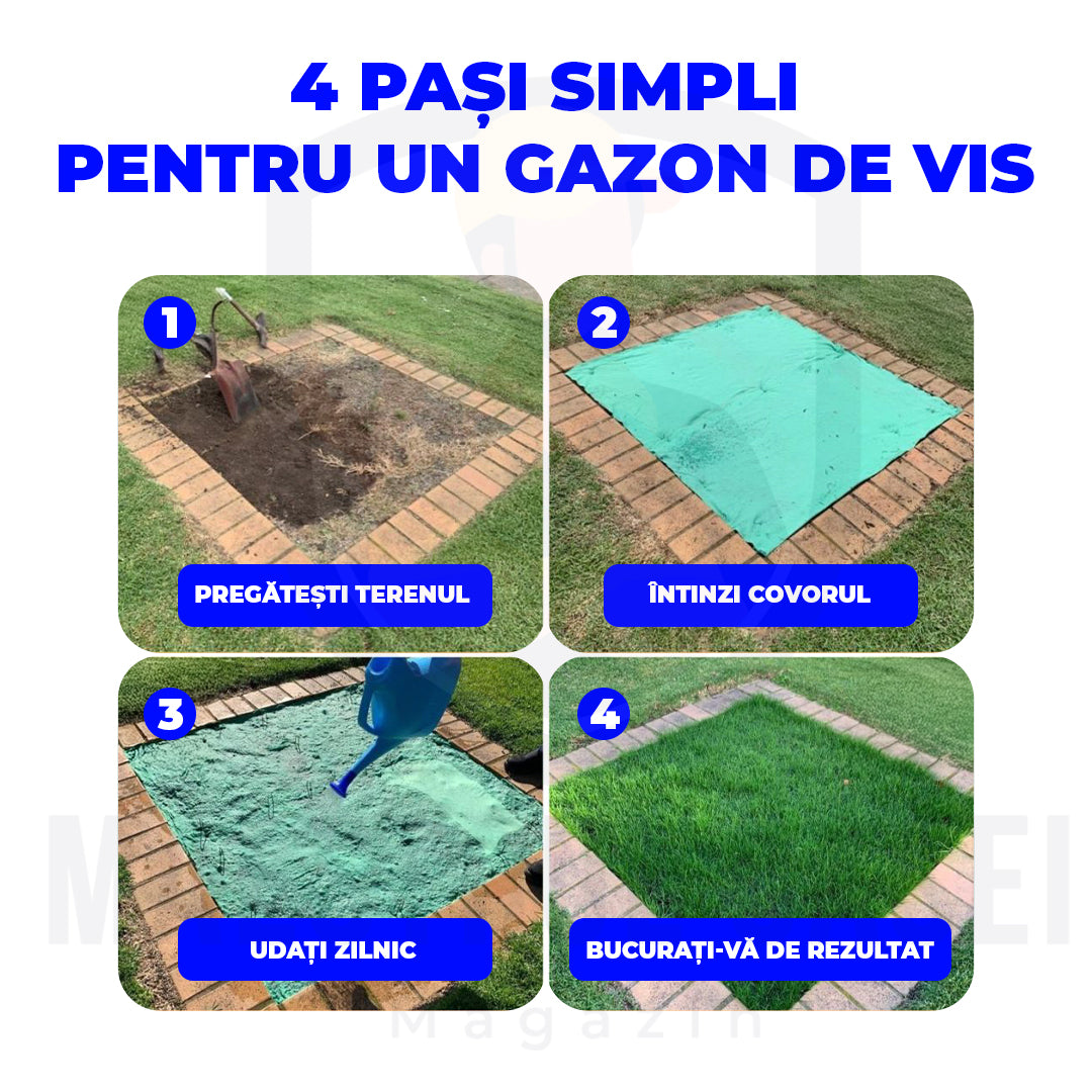 Rolă gazon cu semințe | VerdeMax