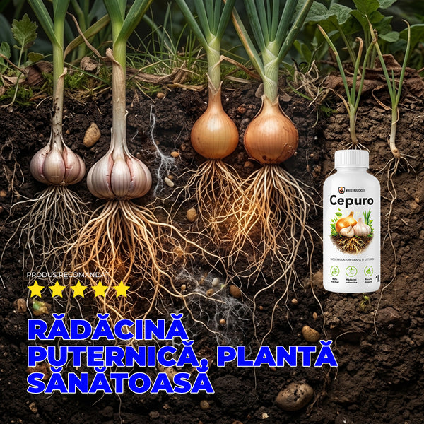 Cepuro – Fertilizator pentru ceapă și usturoi  1L