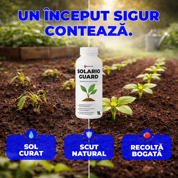Transformă-ți solul într-un teren fertil și protejat!
