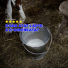Premix LapteMult - Premix vitamino-mineral pentru vaci de lapte | 1kg