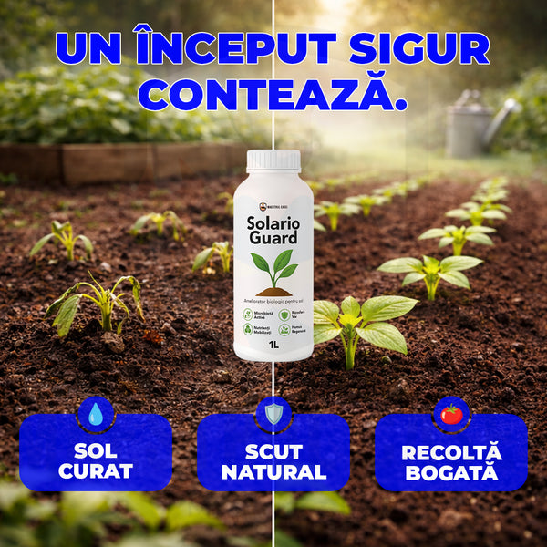 Transformă-ți solul într-un teren fertil și protejat!