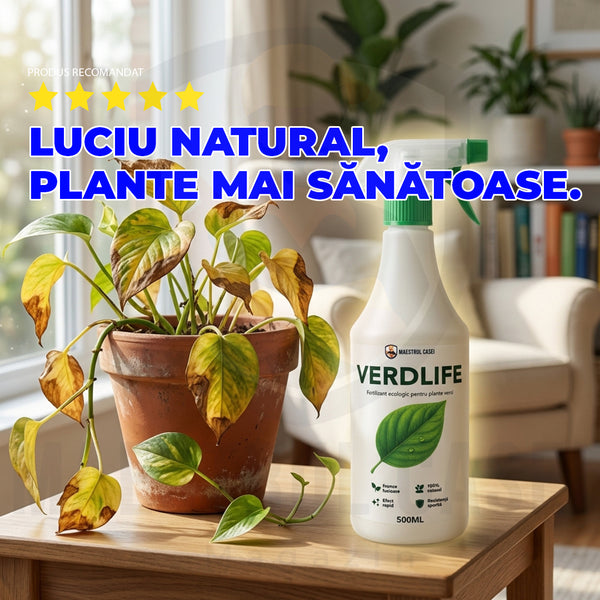 🌱 VerdLife – Viață și Vitalitate pentru Plantele Tale Verzi