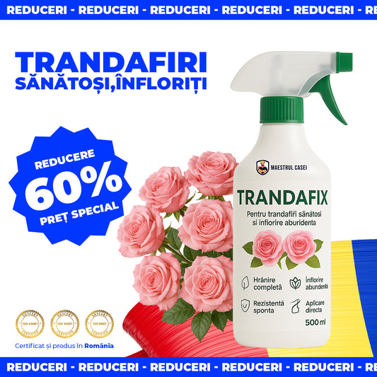 Trandafix - Îngrășământ pentru trandafiri