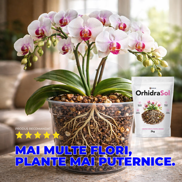 OrhidraSol – Substrat profesional pentru orhidee  2 kg