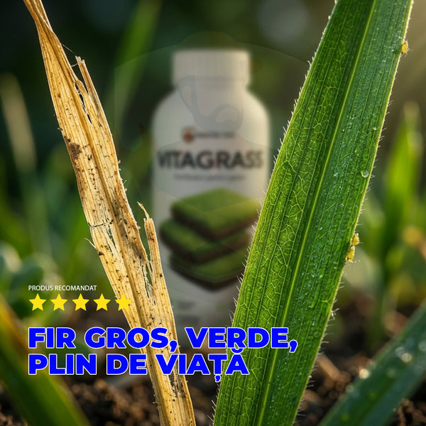 VITAGRASS – Fertilizator bio pentru gazon  1L