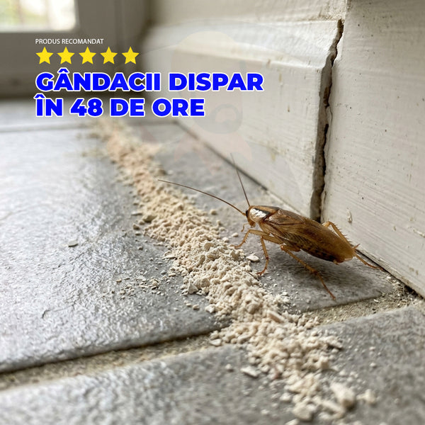 PaGândaci – pulbere minerală naturală anti-gândaci | 100 g