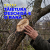 Pachetul Pomilor de Fier — protecție completă de iarnă pentru pomi