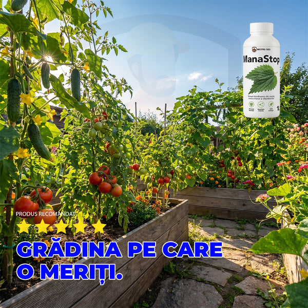 ManaStop — Protecție naturală din urzică  1L