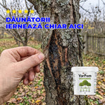 VarPom - Var profesional pentru protecția pomilor | 3KG