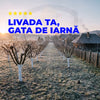 Pachetul Pomilor de Fier — protecție completă de iarnă pentru pomi