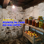 StopPăianjeni – Repelent BIO pentru Păianjeni | 100 ml