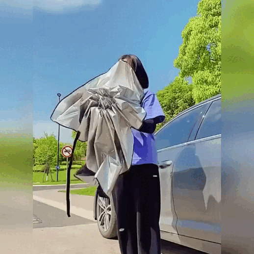 Parasolar Mașină | Solario