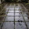 PavajProtect - Impregnant hidrofob pentru pavaj și beton | 1L