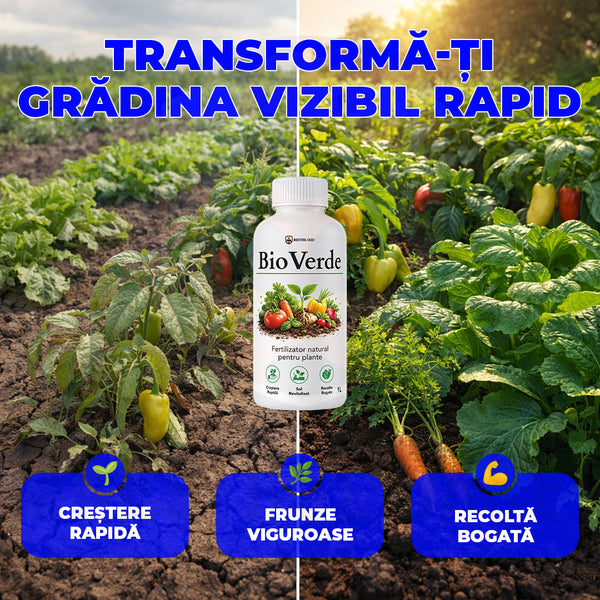 MasterFly – momeală profesională anti-muște  10 g