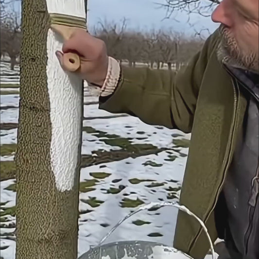 VarPom - Var profesional pentru protecția pomilor | 1KG